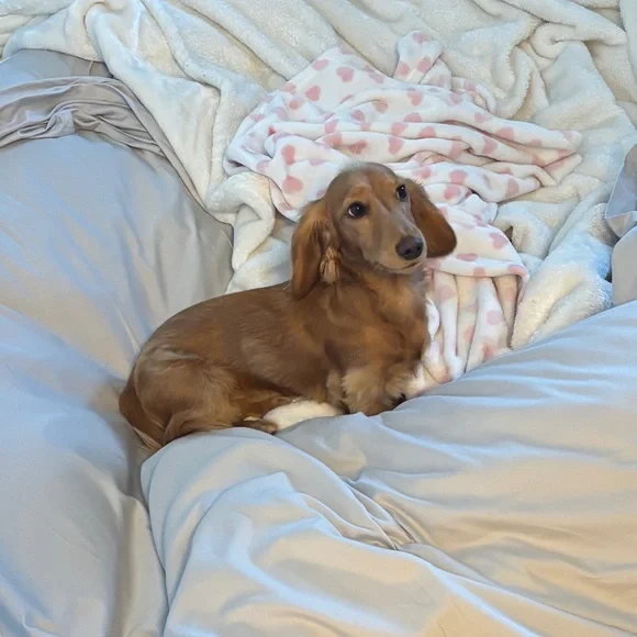 For Jayden - Picture 1 of 1